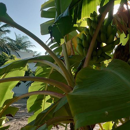 Case Traditionnelle Diola Au Bord De L'Ocean Cap Skirring Bagian luar foto