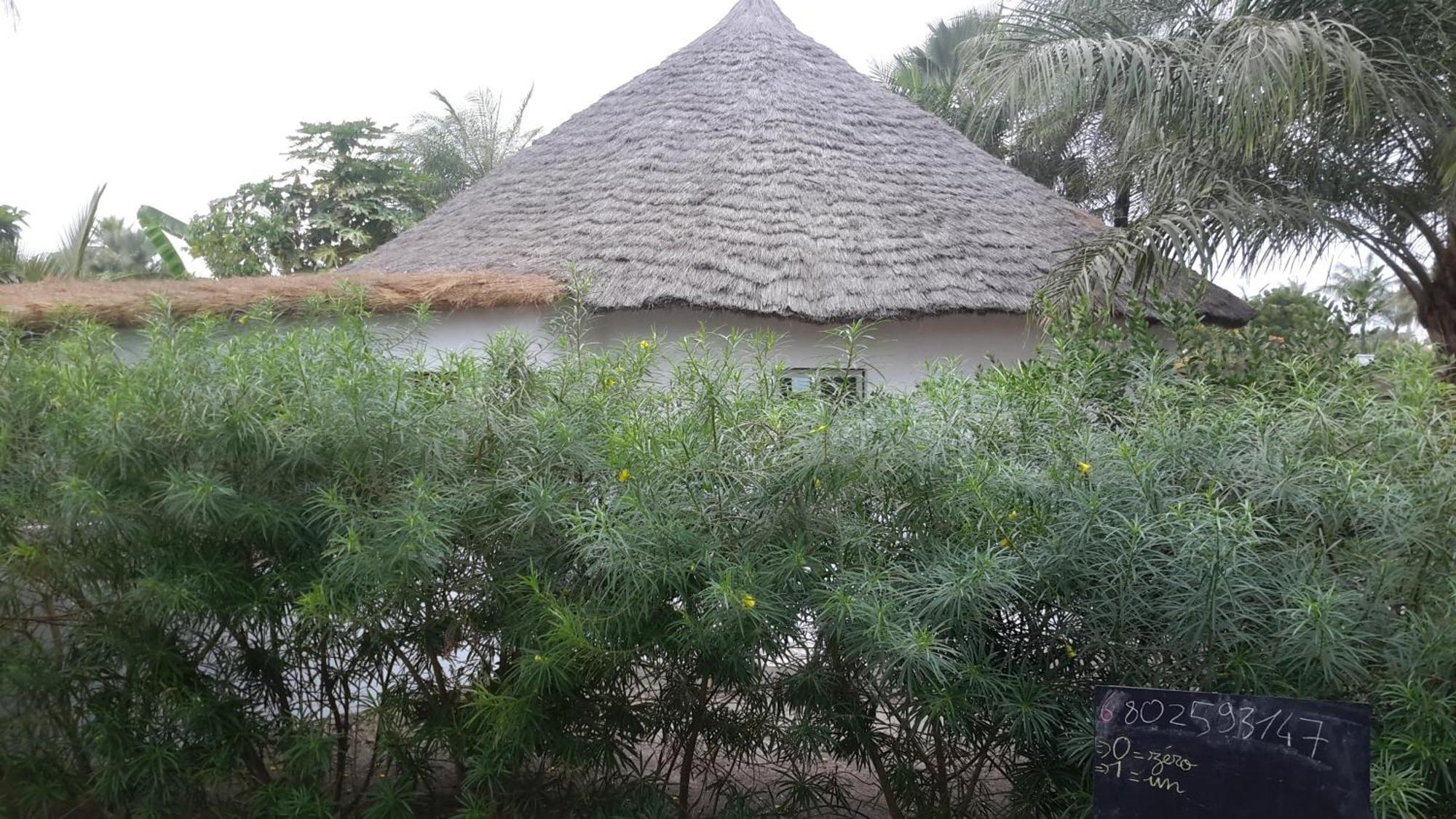 Case Traditionnelle Diola Au Bord De L'Ocean Cap Skirring Bagian luar foto